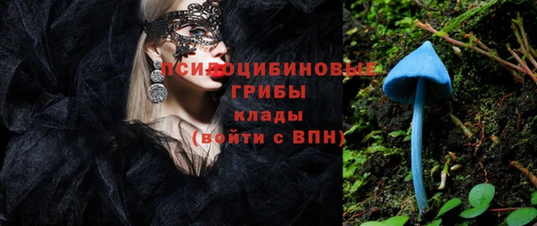 дживик Алзамай