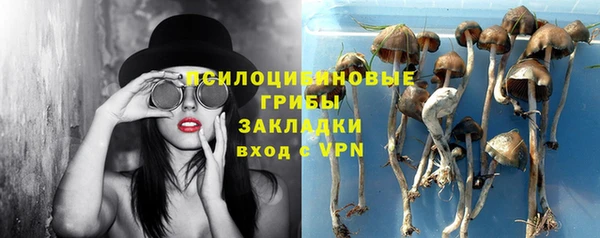 СК Алексеевка
